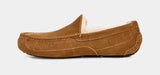 Men's Ascot Slipper