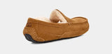 Men's Ascot Slipper