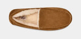 Men's Ascot Slipper