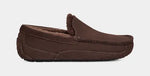 Men's Ascot Slipper