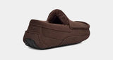 Men's Ascot Slipper