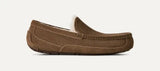 Men's Ascot Slipper