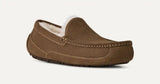 Men's Ascot Slipper
