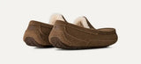 Men's Ascot Slipper