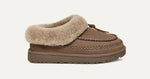 Women's Tasman Alpine
