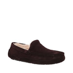 Men's Ascot Slipper