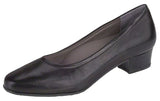 Regina Pump