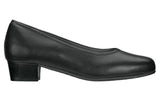 Regina Pump