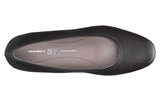 Regina Pump